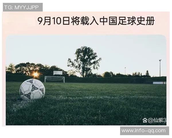 媒体人：借助外部资源助力中国足球崛起的有效策略与实践探索